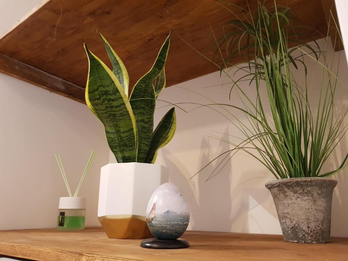 Vesuvio Apartment Napoli Eksteriør bilde